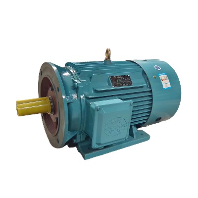 FH series motor